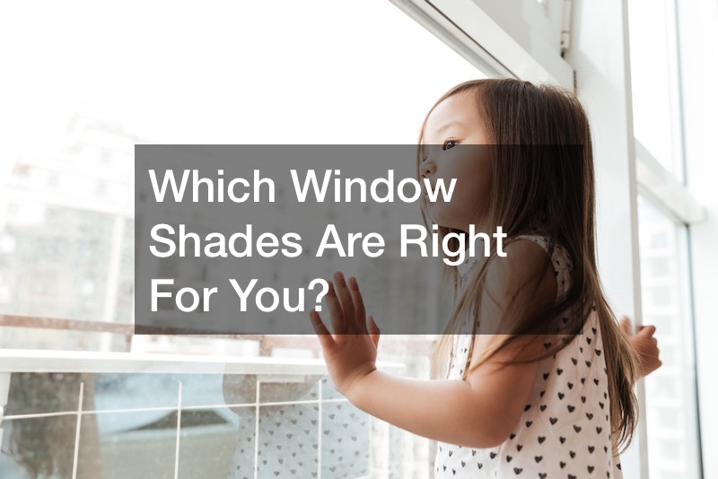 Which Window Shades Are Right For You?